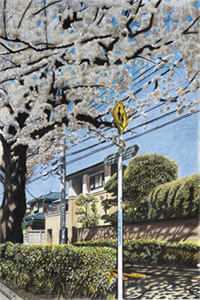 大夏憨婿
