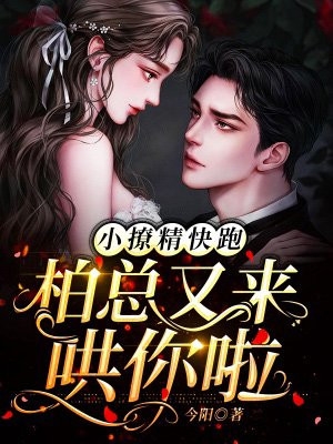 早已不是那年旧时光后续+完结