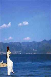纵他情深海枯石烂顾承风阿婉小说结局