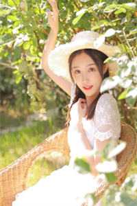 昭昭如愿，岁岁安澜全文无删减