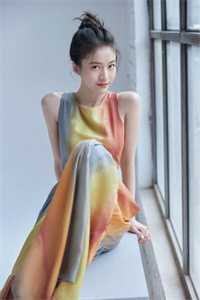 我用花瓶通古今:前文+后续