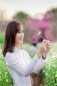 傅总，太太又在给你征婚了后续+结局