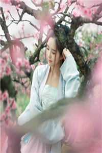 爱情金乌:番外+无删减版