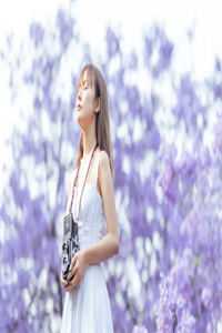 故人藏花笑，偏你最薄情宋瑾修青梅全文+结局+番外