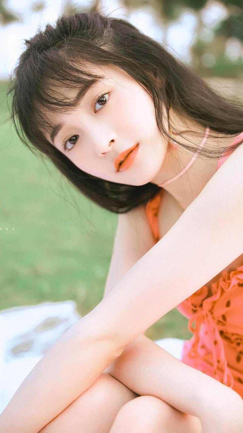 梦里灯火不渡我许砚寒叶摘星无删减全文