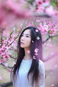 春到南楼雪尽处:番外+无删减版