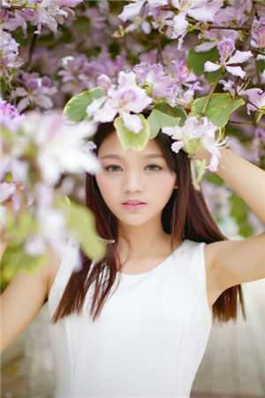 杀破狼顾原江沁完结文