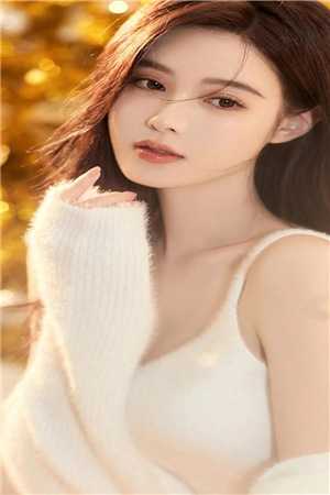 继承机修店后，我徒手打造乱世机甲苏白苏南天全章+后续
