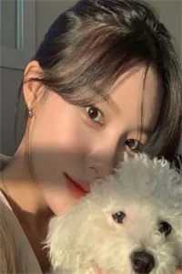 清风易散难相爱全文无删减