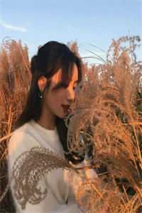 姻玉良缘:结局+番外