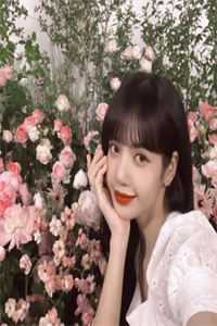 深情湮灭，你我不复:全章+后续