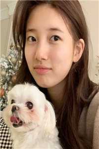 霸总轻点宠，我要恋爱脑了无删减+无广告