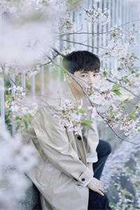 情如烟雨终散去云澈苏晴全文+番茄