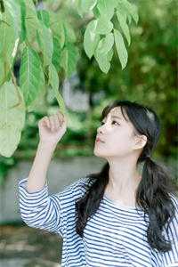 哥哥和未婚夫为救恶蠢白月光逼我跟狗换命，重生后我杀疯了结局+番外+完结