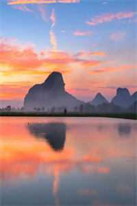 丁克老公带回一对龙凤胎，还要我把百亿财产交给他们顾兰兰夏文超:全文+结局+番外