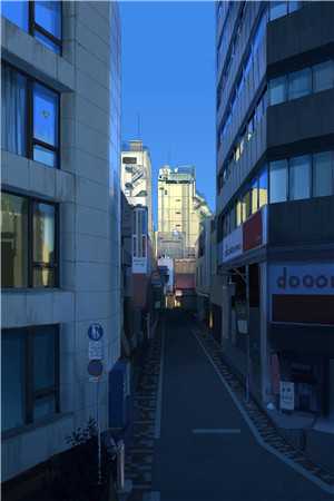 劣情季景铄季霖霖前文+后续