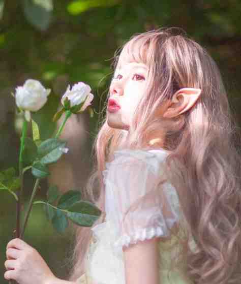 他清冷撩人，娇妻夜夜难眠姜芙萧荆全文免费