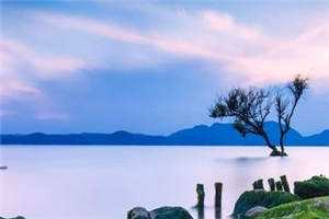 逼我给青梅打官司，离婚你哭什么:(番外)+(全文)