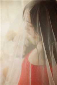 快穿之恶婆婆改过自新了陆峥苏莫言全本+番外+后续