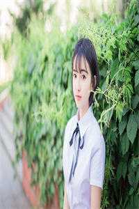 星星沉落云海里前文+后续