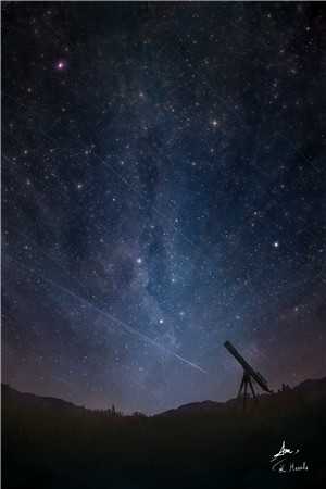 晚风轻吻夏夜萤火顾卿叶裴少舟全章+后续