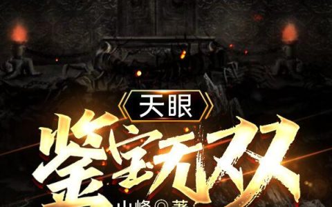 天眼：鉴宝无双