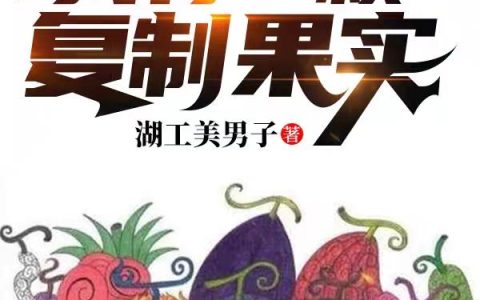 恶魔果实时代：我有一颗复制果实