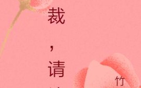 总裁，请让让
