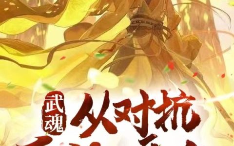 武魂：从对抗系统开始