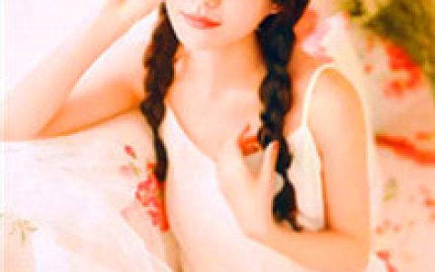 我在明朝打倭寇