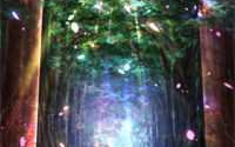 开局一送六，恶毒后娘她真香了