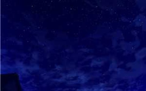一夜成婚：宫少有个小可怜