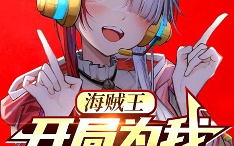海贼王：开局为我时停三年