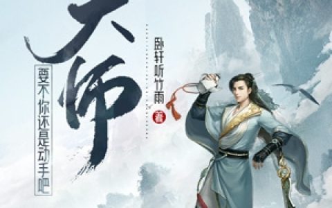 大师，要不你还是动手吧