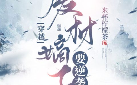 穿越：废材嫡子要逆袭