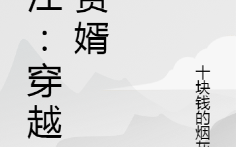 徐江：穿越成赘婿