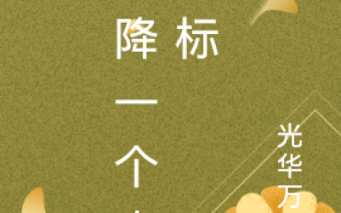 天降一个小目标