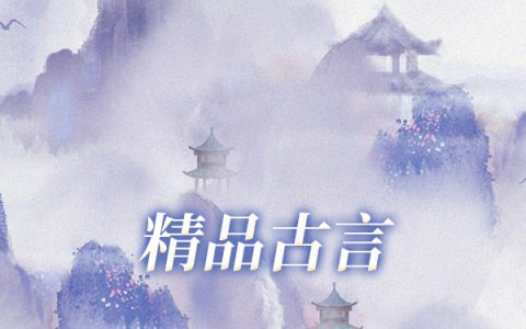 风雪满头不见白首