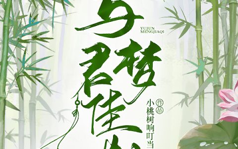 与君梦佳期