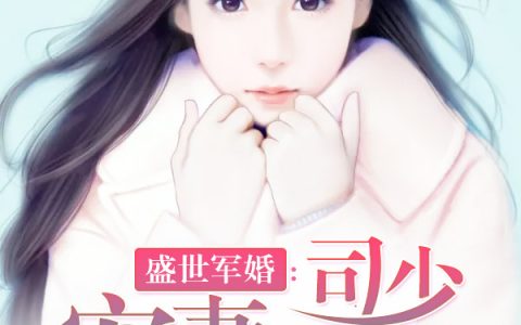 司少宠妻无上限