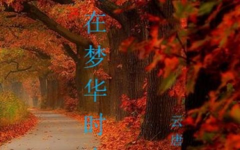 风起在梦华时光里