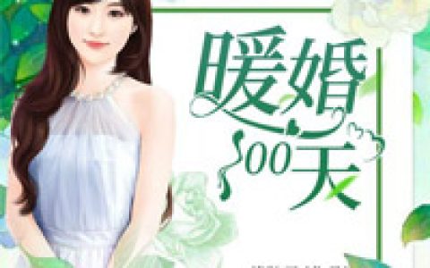 暖婚100天