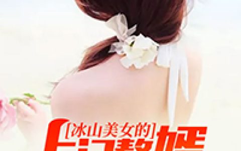 冰山美女的上门赘婿