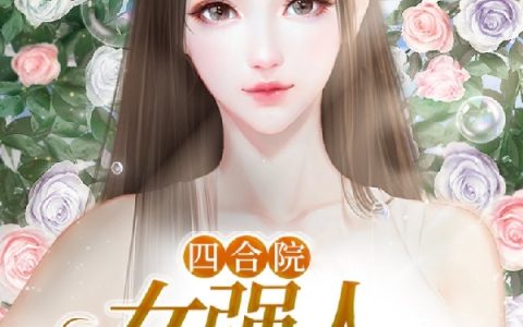 四合院：女强人秦淮茹