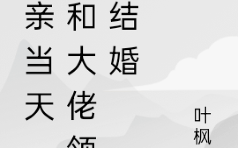 相亲当天，就和大佬领证结婚