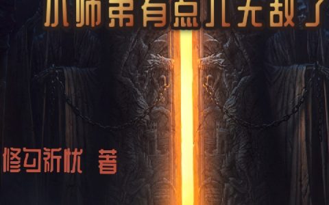 小师弟有点儿无敌了