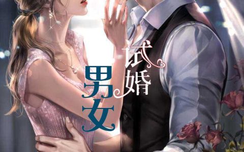试婚男女唐宁龙杰全文免费阅读无弹窗大结局_(试婚男女)试婚男女最新章节列表笔趣阁（试婚男女）