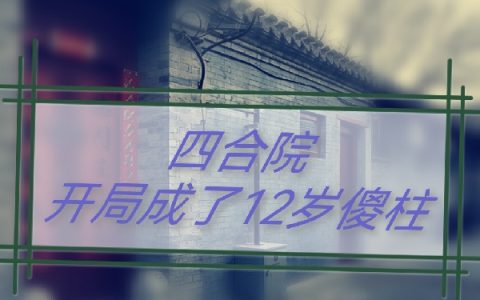 四合院：开局成了12岁傻柱