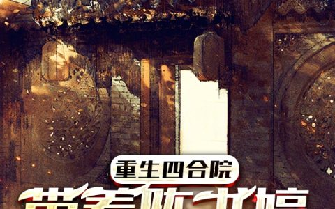 重生四合院：带着陈书婷一路狂飙