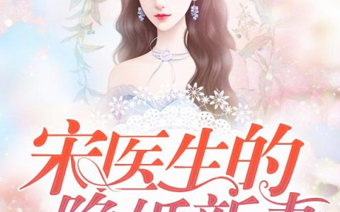 宋医生的隐婚新妻
